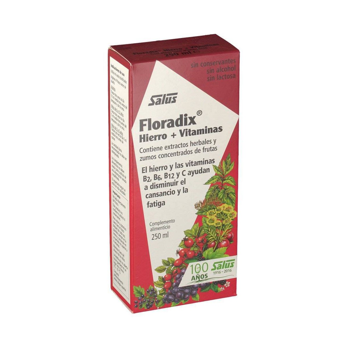 floradix-hierro-250-ml-salus