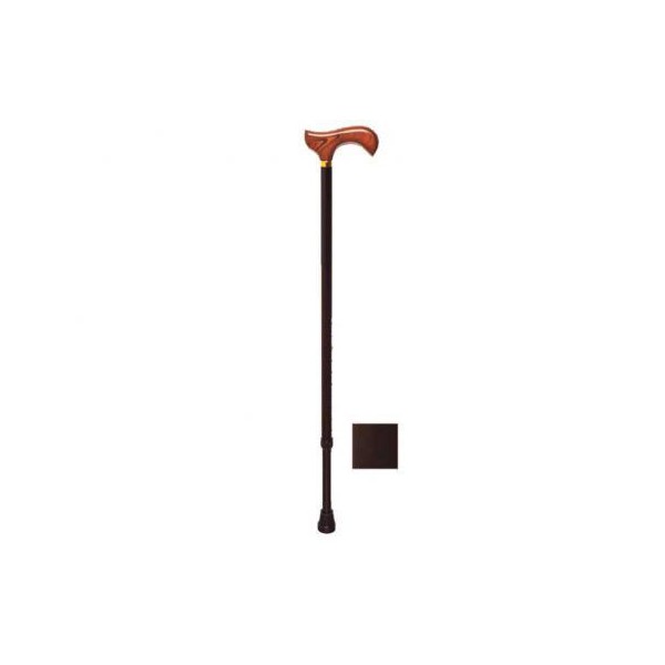 BASTÓN EXTENSIBLE NEGRO