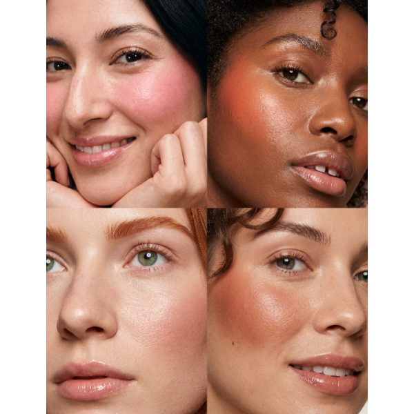 SEGLE BLUSH SPF50+ STICK BARE NUDE