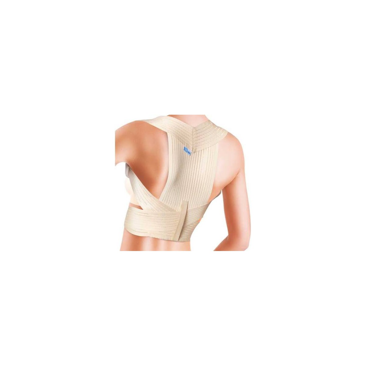 prim-espaldillera-confort-talla-l
